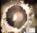 Dr. Emoto Water Crystals from water exposed to the spoken phrase, "Do It!" in Japanese as a command.